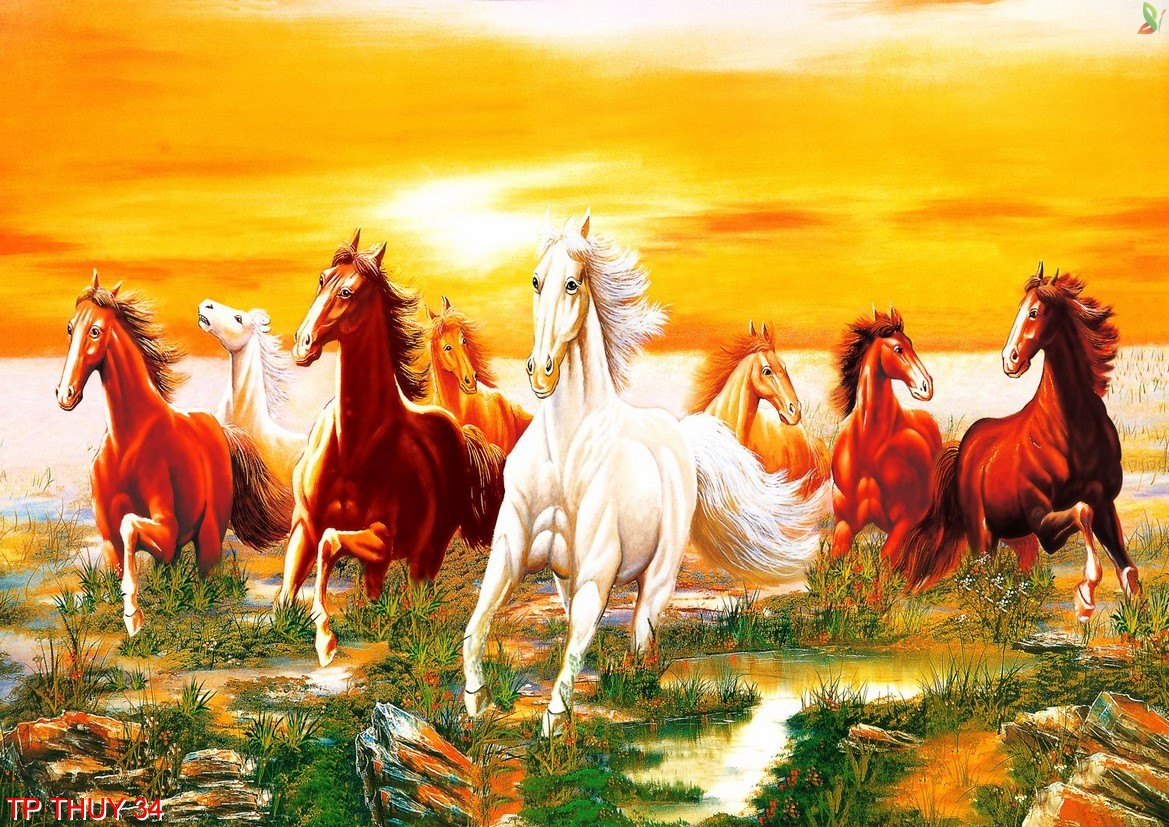 mệnh hỏa hợp tranh gì